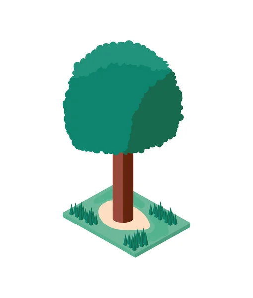 Tree plant mini isometric icon — Stock Vector