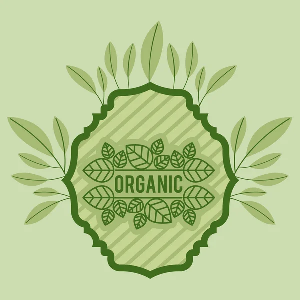 Bingkai dengan daun makanan organik dan kesehatan - Stok Vektor