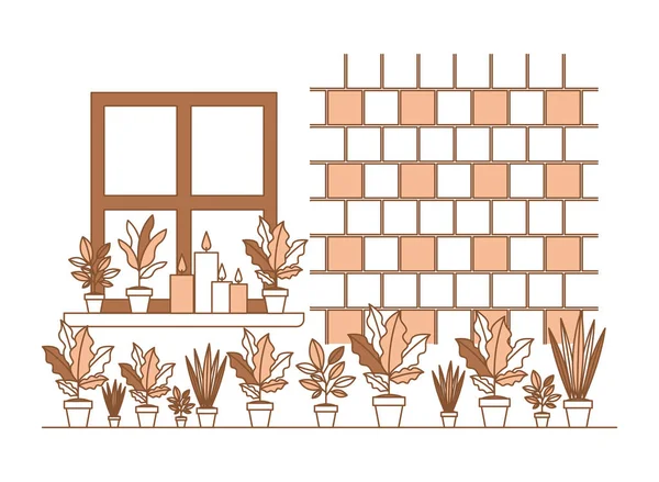 Houseplants 가정 장식의 그룹 — 스톡 벡터