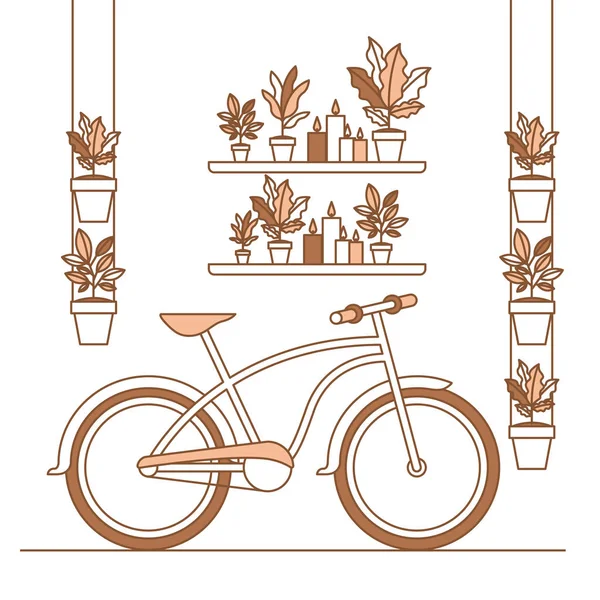 Gruppe von Zimmerpflanzen und Fahrraddekorationen — Stockvektor