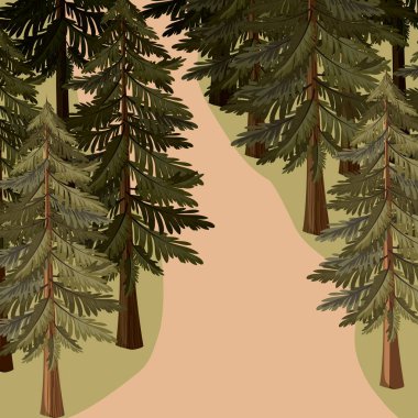 çam ağacı orman manzara renkler bulanık