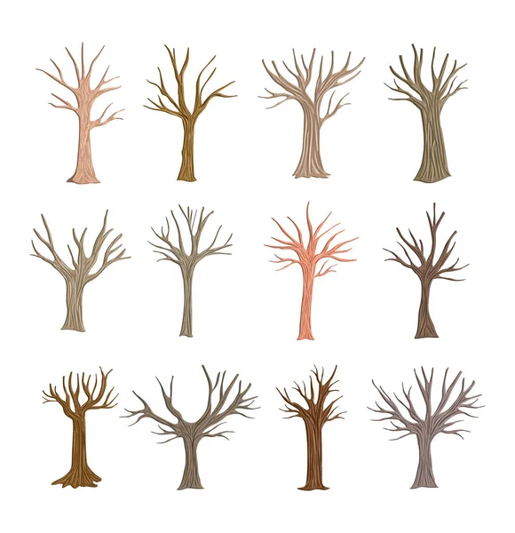 Őszi fák set gyűjtemény — Stock Vector