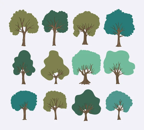 Ağaçlar orman koleksiyonu ayarla — Stok Vektör