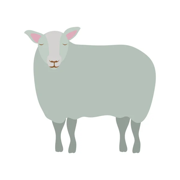 Sevimli koyun yemliği hayvan karakteri — Stok Vektör