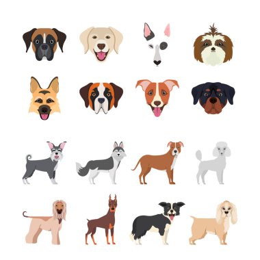 Bir köpek sürüsü grup oluşturur.
