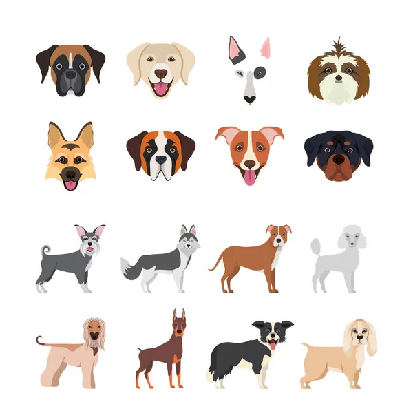 Groupe de races de chiens — Image vectorielle