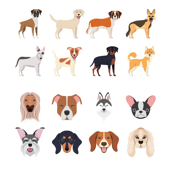 Groupe de races de chiens — Image vectorielle
