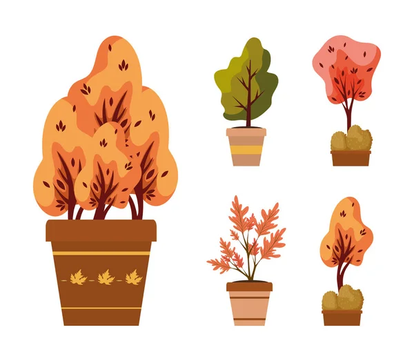 Осенние растения в керамических горшках — стоковый вектор