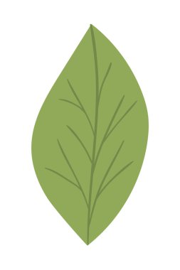 İzole edilmiş sonbahar yaprağı vektör tasarımı