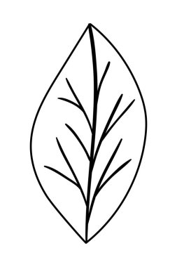 İzole edilmiş sonbahar yaprağı vektör tasarımı