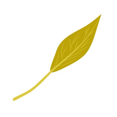 İzole edilmiş sonbahar yaprağı vektör tasarımı