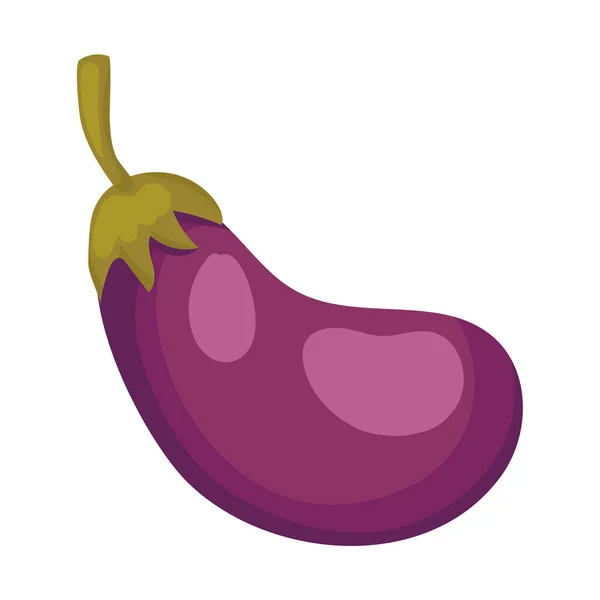 Diseño aislado de vectores de fruta de berenjena — Vector de stock