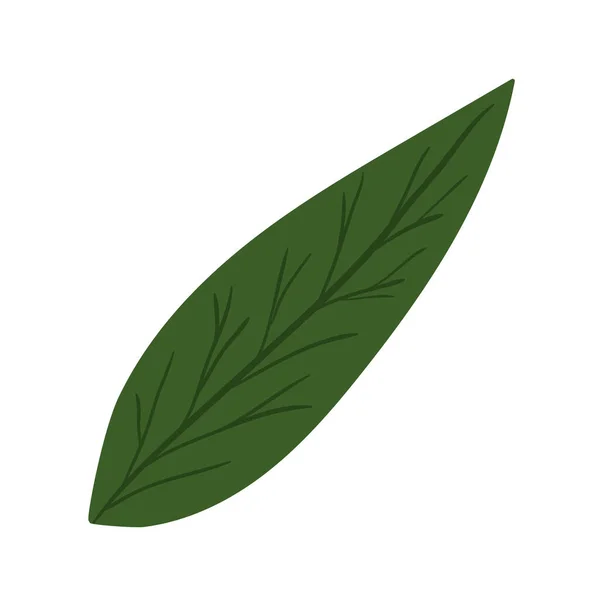 분리 된 가을 잎 벡터 디자인 — 스톡 벡터