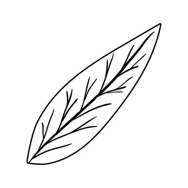 İzole edilmiş sonbahar yaprağı vektör tasarımı