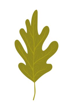 İzole edilmiş sonbahar yaprağı vektör tasarımı