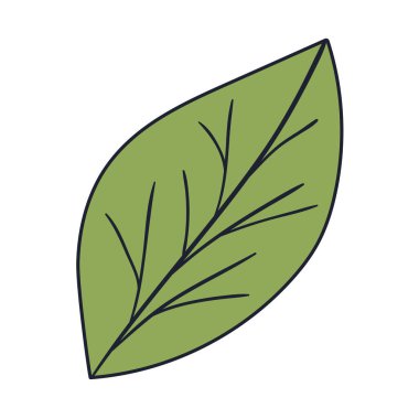 İzole edilmiş sonbahar yaprağı vektör tasarımı