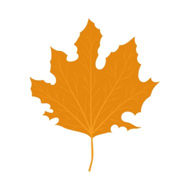 İzole edilmiş sonbahar yaprağı vektör tasarımı