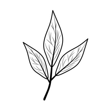 İzole edilmiş sonbahar yaprağı vektör tasarımı