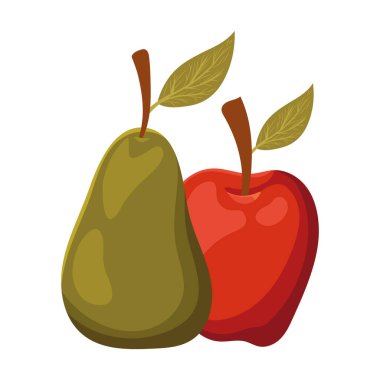 İzole edilmiş elma ve armut meyve vektör tasarımı