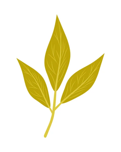 Odizolowane jesienne liście wektorowe — Wektor stockowy