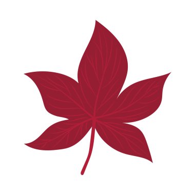 İzole edilmiş sonbahar yaprağı vektör tasarımı