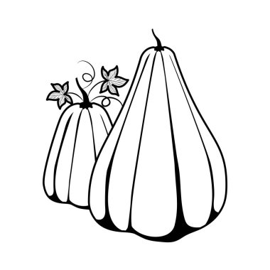 İzole edilmiş sonbahar balkabağı vektör tasarımı