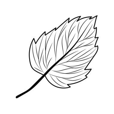 İzole edilmiş sonbahar yaprağı vektör tasarımı