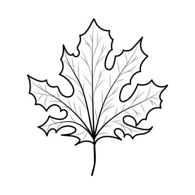 İzole edilmiş sonbahar yaprağı vektör tasarımı