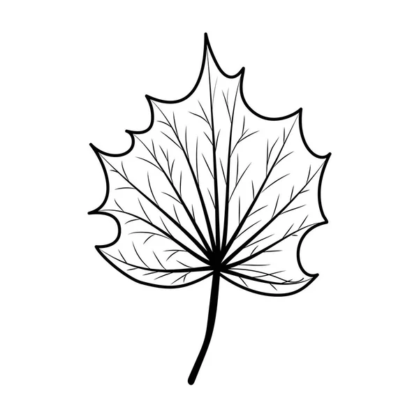 İzole edilmiş sonbahar yaprağı vektör tasarımı — Stok Vektör