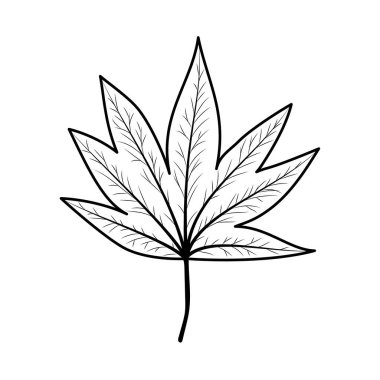 İzole edilmiş sonbahar yaprağı vektör tasarımı