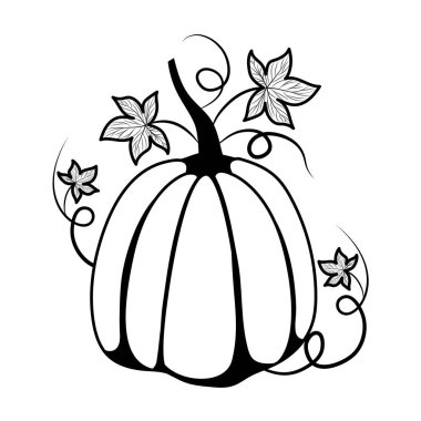 İzole edilmiş sonbahar balkabağı vektör tasarımı