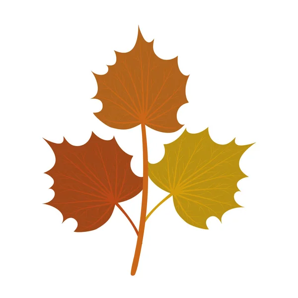 Folhas isoladas de outono design vetorial —  Vetores de Stock