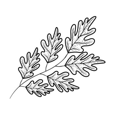 İzole sonbahar vektör tasarımı