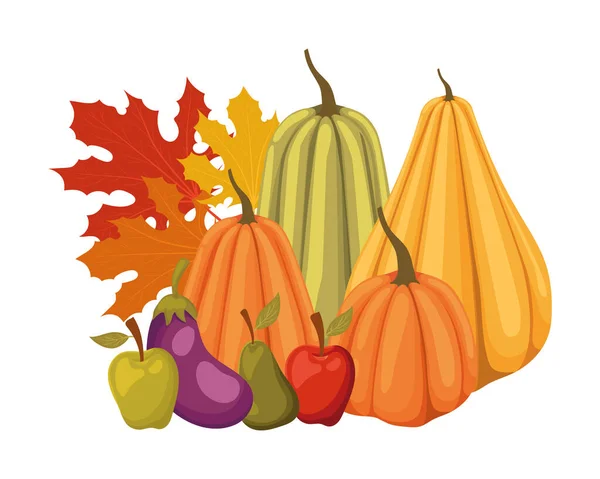 Herfst pompoenen appel aubergine en peer vector ontwerp — Stockvector