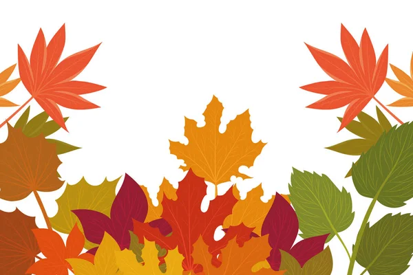 Feuilles d'automne isolées conception vectorielle — Image vectorielle