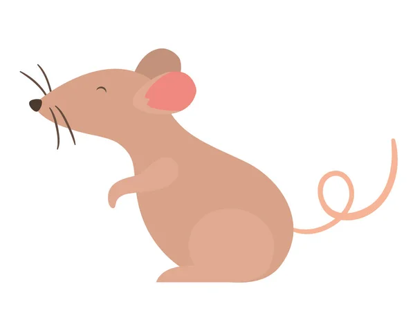 Izolovaný kreslený vektor myši — Stockový vektor