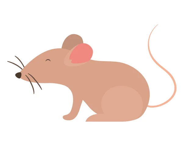 Desenho isolado do vector dos desenhos animados do rato — Vetor de Stock