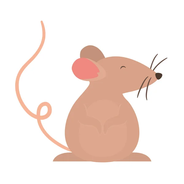 Izolovaný kreslený vektor myši — Stockový vektor