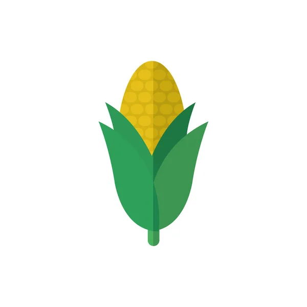 Diseño aislado de vectores de alimentos de maíz — Vector de stock