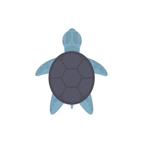 Elszigetelt tengeri teknősbéka-vektor kialakítása — Stock Vector