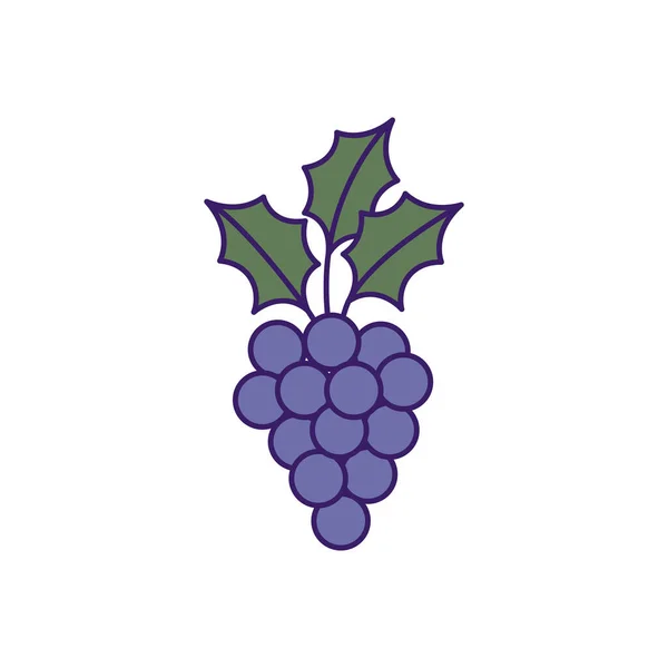 Diseño vectorial de relleno de fruta de uvas aisladas — Vector de stock