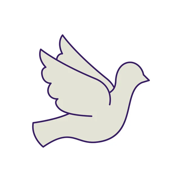 孤立した鳩バードフィルベクトルデザイン — ストックベクタ