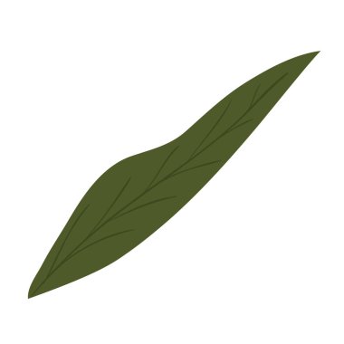 İzole edilmiş yaprak ikonu vektör tasarımı