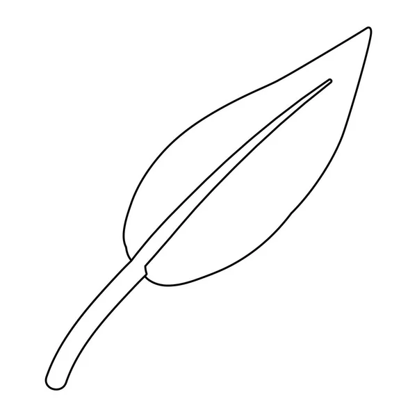 Isolerad bladikon vektor design — Stock vektor