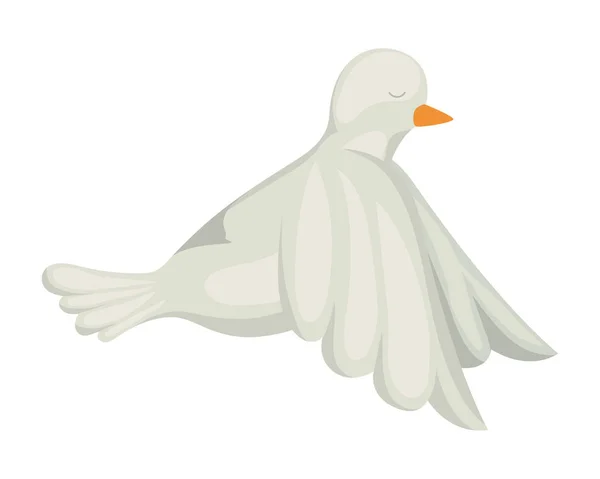 Geïsoleerde duif vogel vector ontwerp — Stockvector