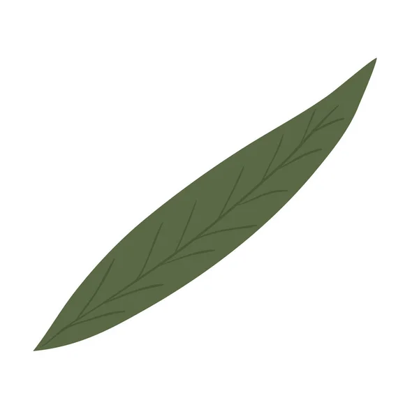 Изолированный листовой рисунок — стоковый вектор