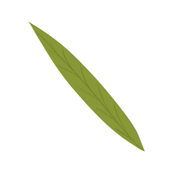 İzole edilmiş yaprak ikonu vektör tasarımı — Stok Vektör