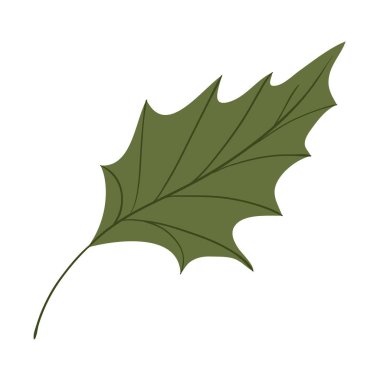 İzole edilmiş yaprak ikonu vektör tasarımı