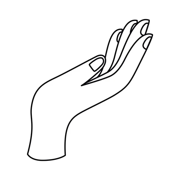 Isoliertes Handsignal-Icon-Vektor-Design — Stockvektor