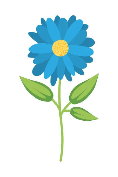 Diseño de vectores de adornos de flores aisladas — Vector de stock